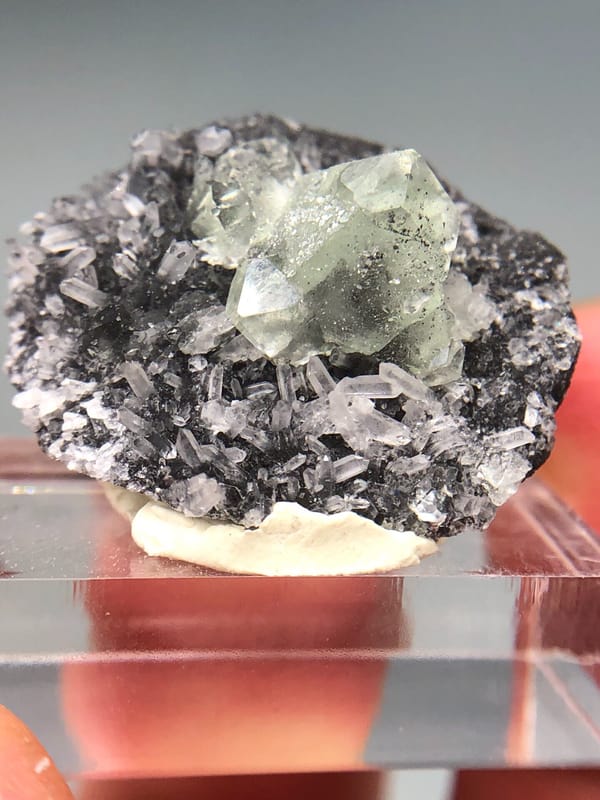 Fluorite from Fujian, China, individual mineral specimen view 7
