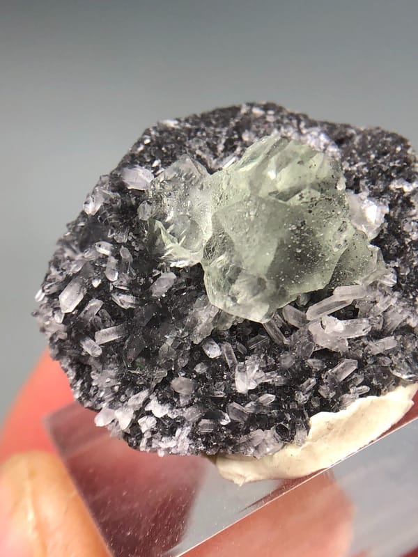 Fluorite from Fujian, China, individual mineral specimen view 8