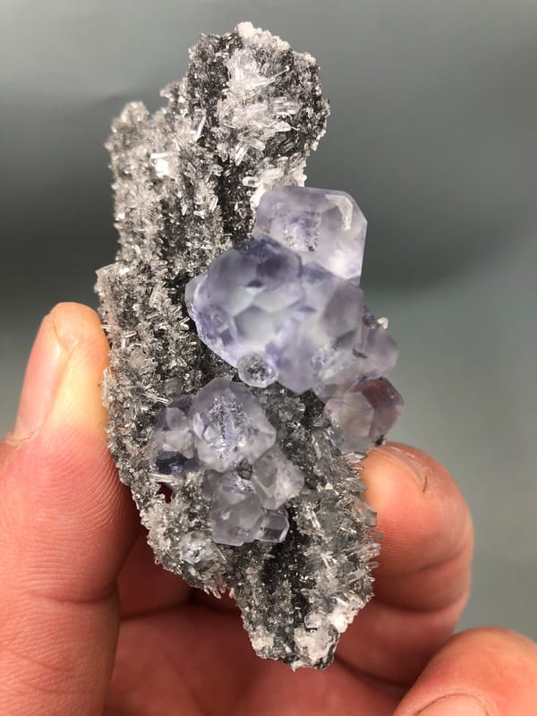 Fluorite from Fujian, China, individual mineral specimen view 4
