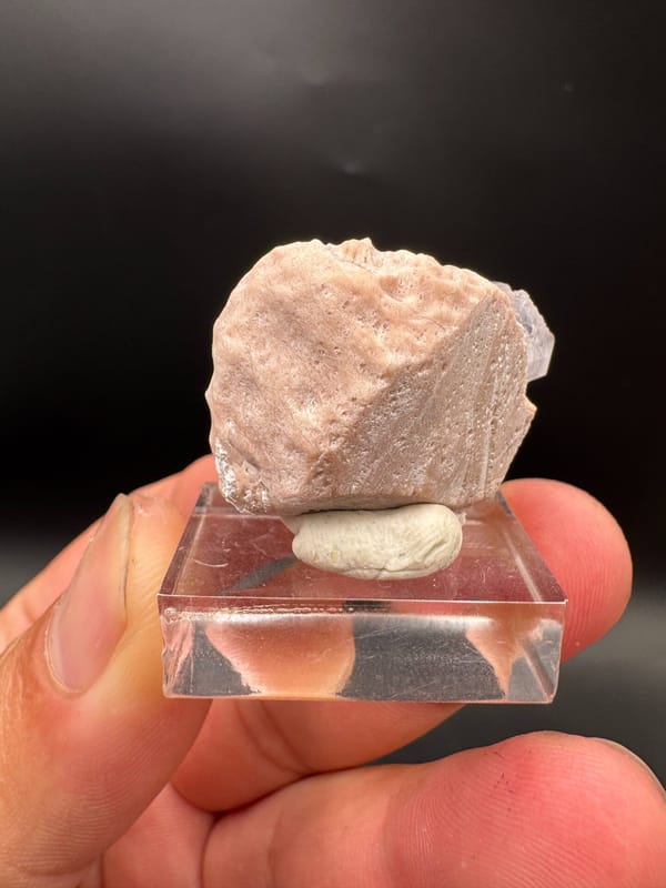 Fluorite from Fujian, China, individual mineral specimen view 2