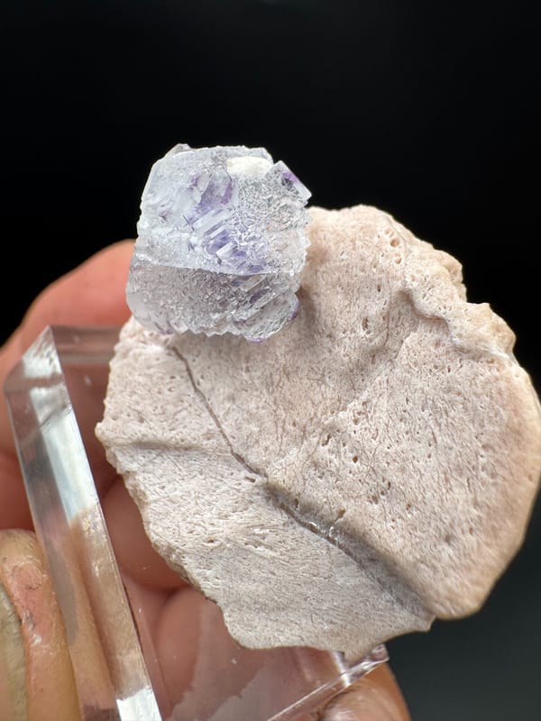 Fluorite from Fujian, China, individual mineral specimen view 5