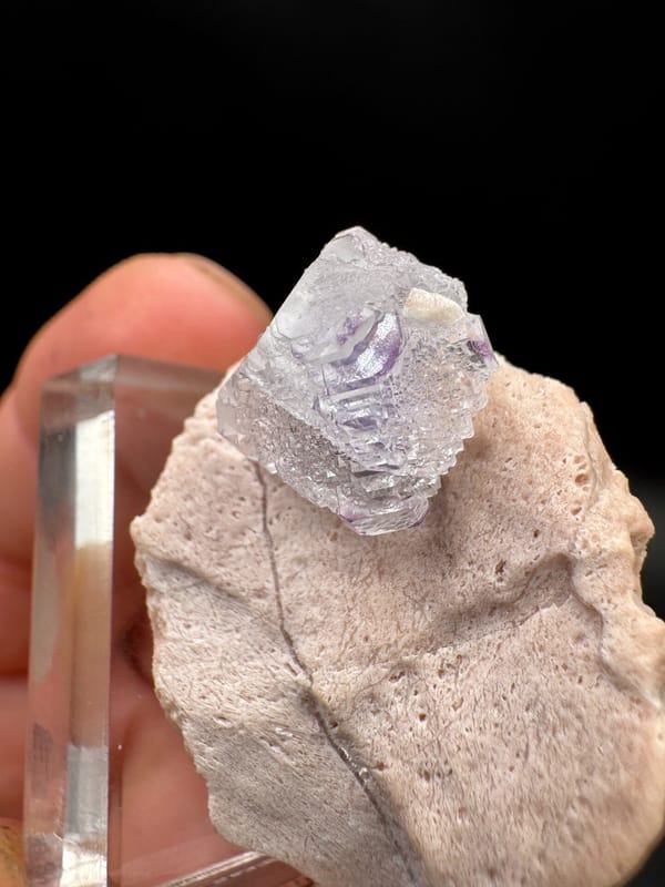 Fluorite from Fujian, China, individual mineral specimen view 8