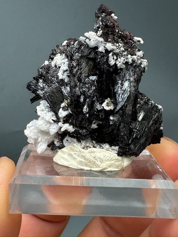 Hubnerite from Yaogangxian Mine, Yizhang Co., Hunan, China, individual mineral specimen view 1
