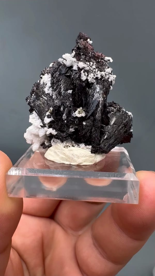 Hubnerite from Yaogangxian Mine, Yizhang Co., Hunan, China, individual mineral specimen view 6