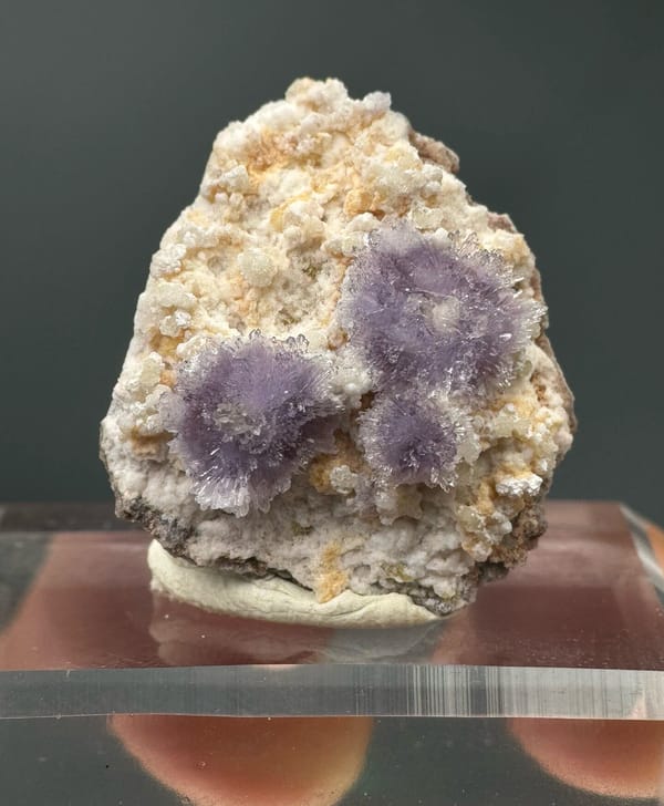 Disco di fiori di creedite viola