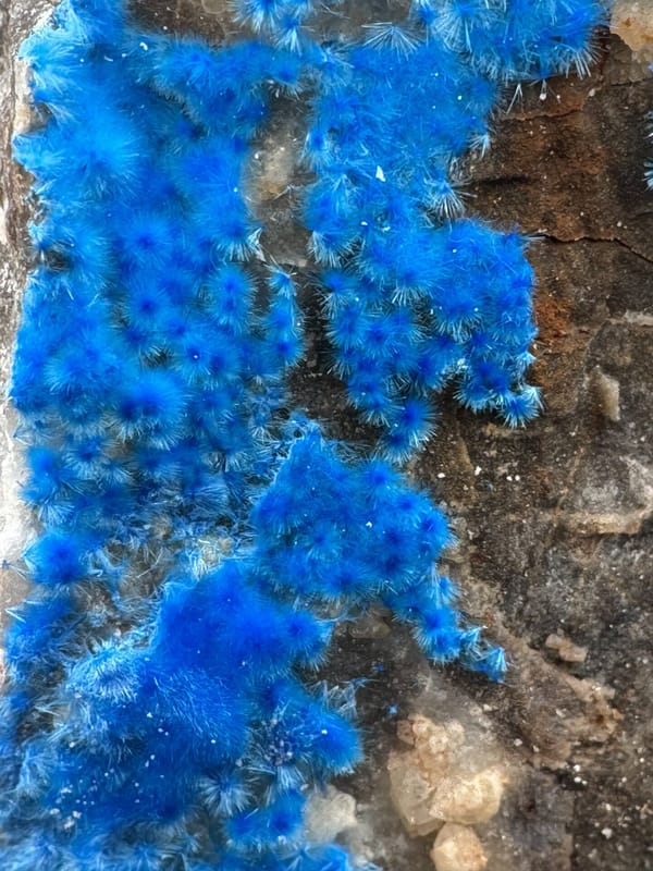 Cyanotrichite from Guizhou, China, individual mineral specimen view 4