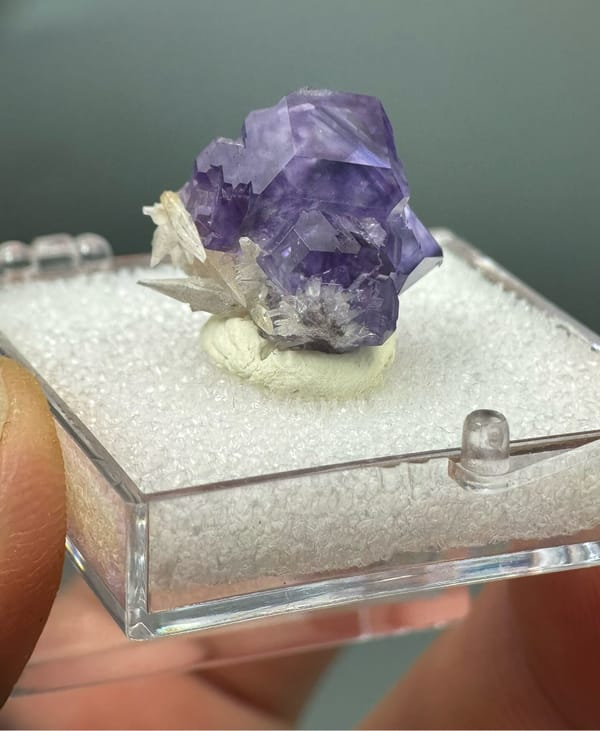 Fluorite from Fujian, China, individual mineral specimen view 3
