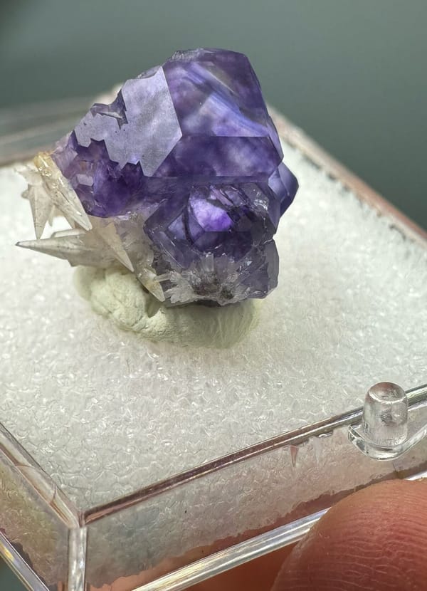Fluorite from Fujian, China, individual mineral specimen view 4