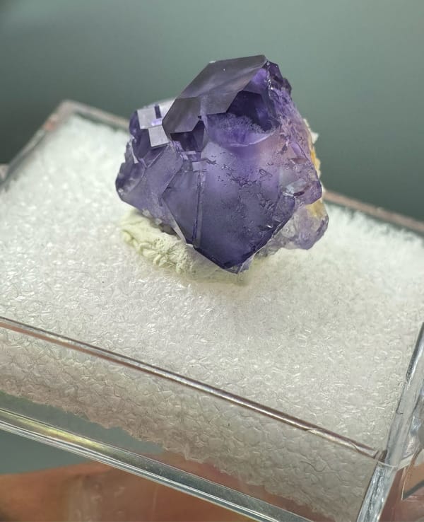 Fluorite from Fujian, China, individual mineral specimen view 5