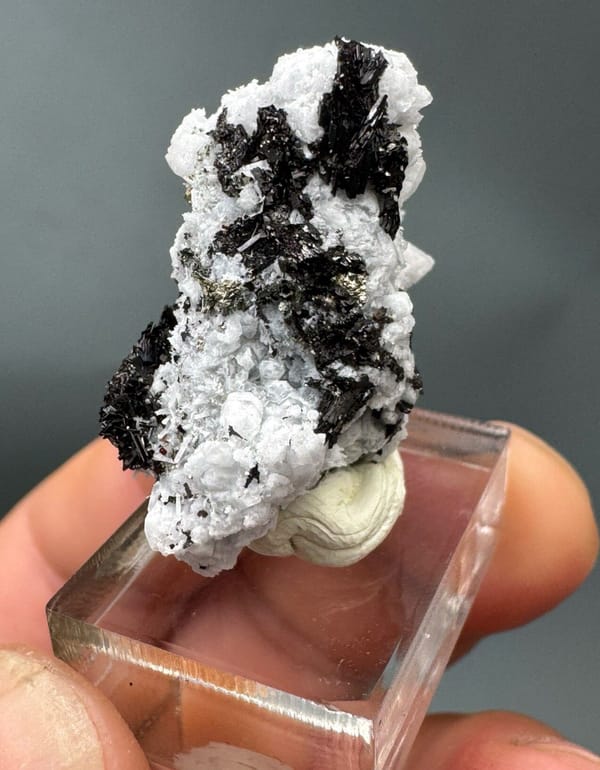 Fluorite from Yaogangxian Mine, Yizhang Co., Hunan, China, individual mineral specimen view 5