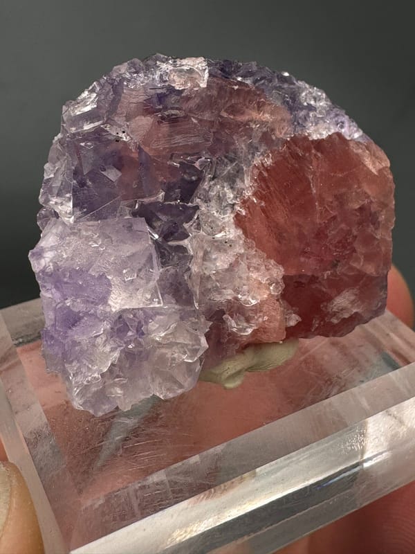 Rhodochrosite from Wuzhou, Guangxi, China, individual mineral specimen view 3