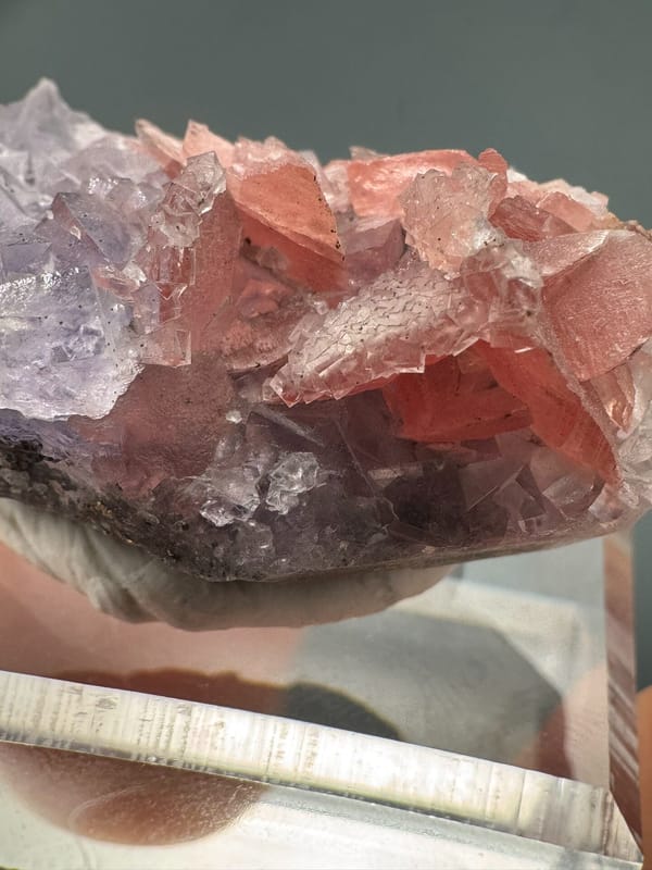 Fluorite from Wuzhou, Guangxi, China, individual mineral specimen view 1