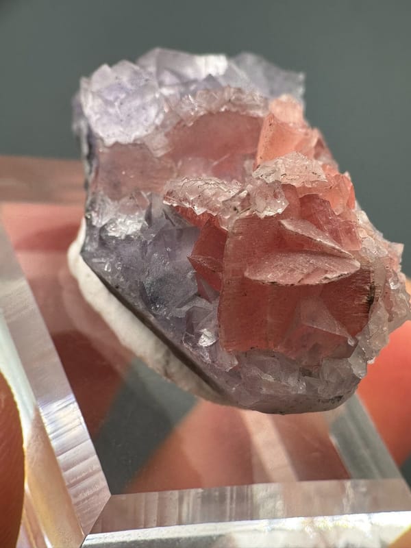 Fluorite from Wuzhou, Guangxi, China, individual mineral specimen view 3