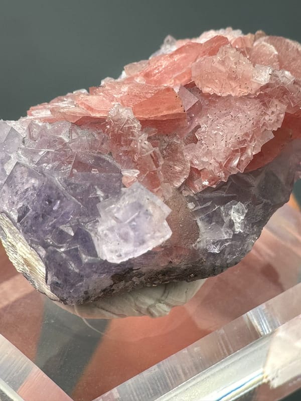 Fluorite from Wuzhou, Guangxi, China, individual mineral specimen view 7