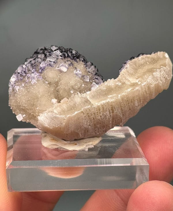 Fluorite from Guizhou, China, individual mineral specimen view 8