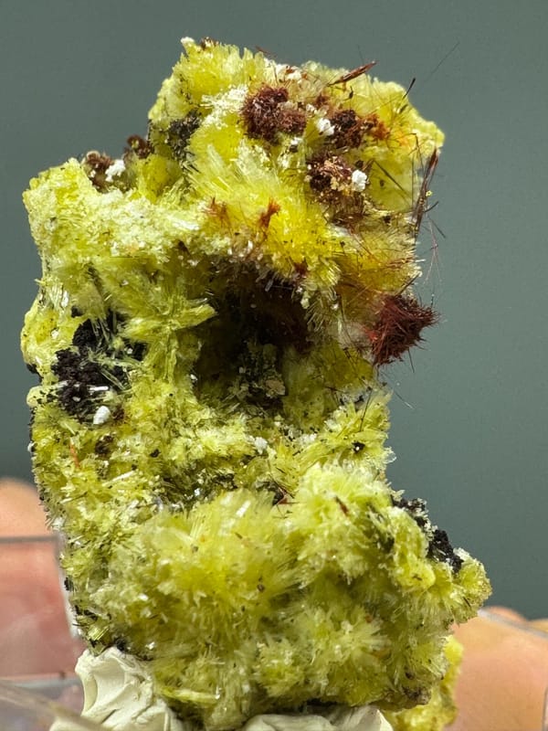 Carlhintzeite from Guizhou, China, individual mineral specimen view 3