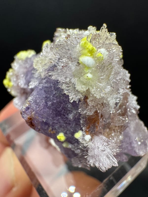 Carlhintzeite from Qinglong Co., Guizhou, China, individual mineral specimen view 8