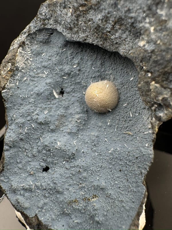 Calcite from Zhejiang, China, individual mineral specimen view 1