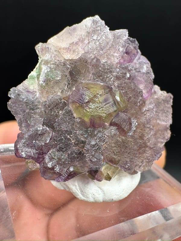 Fluorite from Liaoning, China, individual mineral specimen view 5