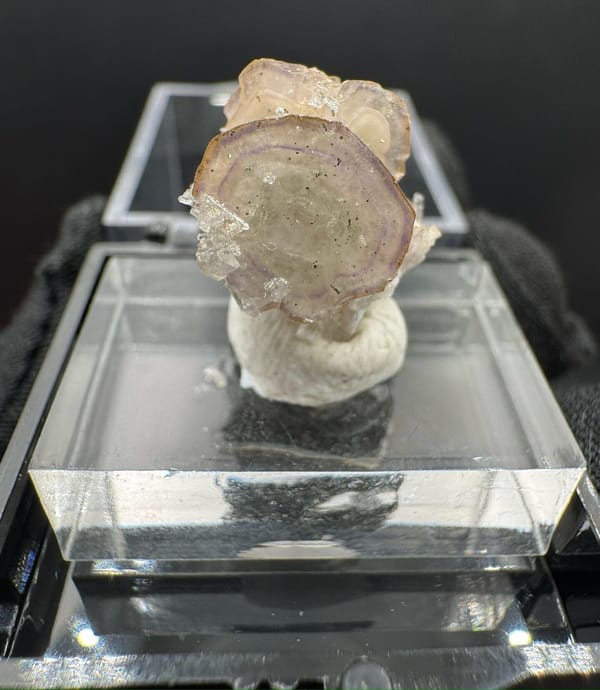 Apatite from Wuzhou, Guangxi, China, individual mineral specimen view 1