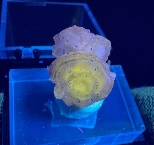 Apatite from Wuzhou, Guangxi, China, individual mineral specimen view 2