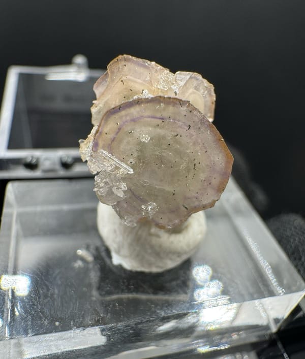 Apatite from Wuzhou, Guangxi, China, individual mineral specimen view 3