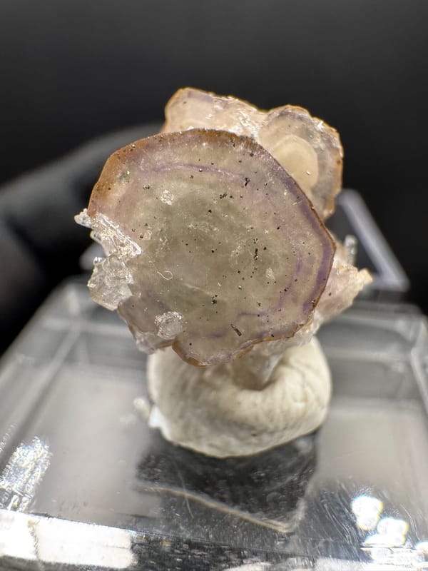 Apatite from Wuzhou, Guangxi, China, individual mineral specimen view 4