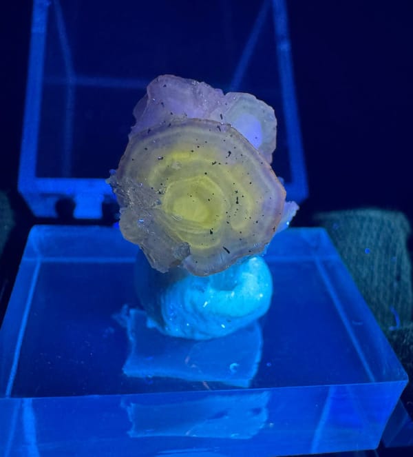 Apatite from Wuzhou, Guangxi, China, individual mineral specimen view 8