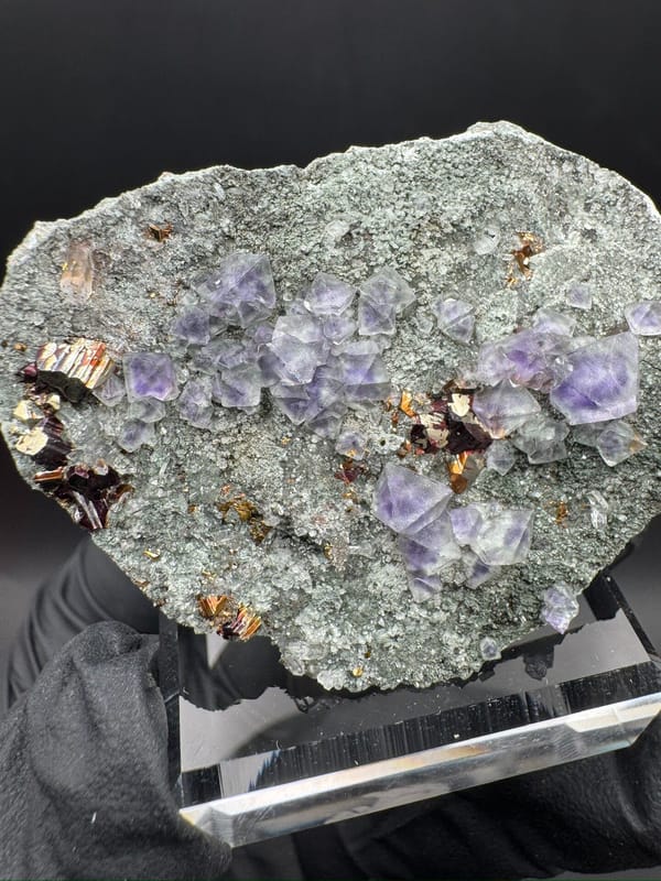 Fluorite from Fujian, China, individual mineral specimen view 3
