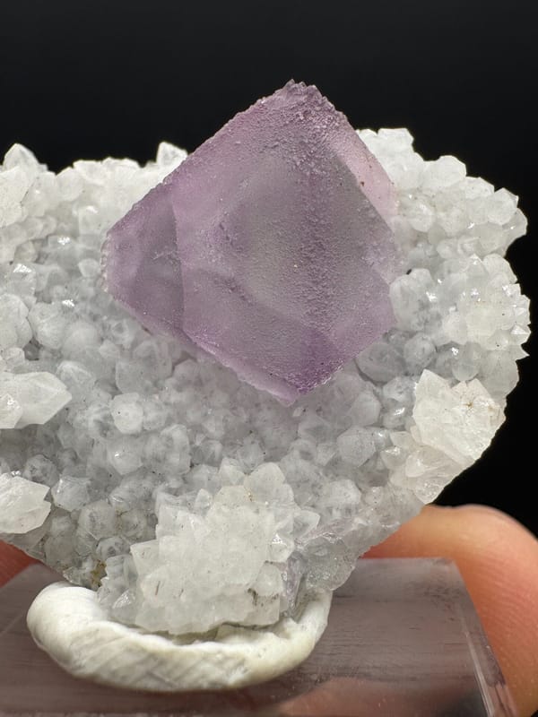 Fluorite from Fujian, China, individual mineral specimen view 3