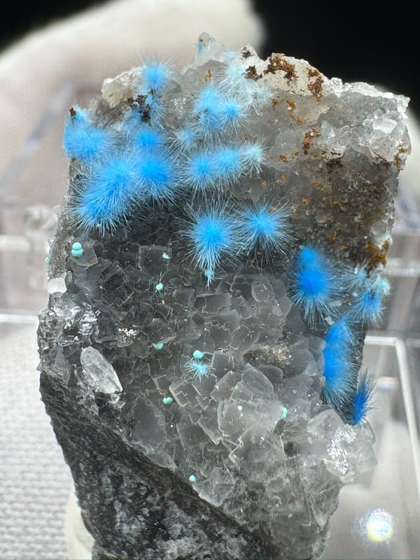 Cyanotrichite from Qinglong Co., Guizhou, China, individual mineral specimen view 5