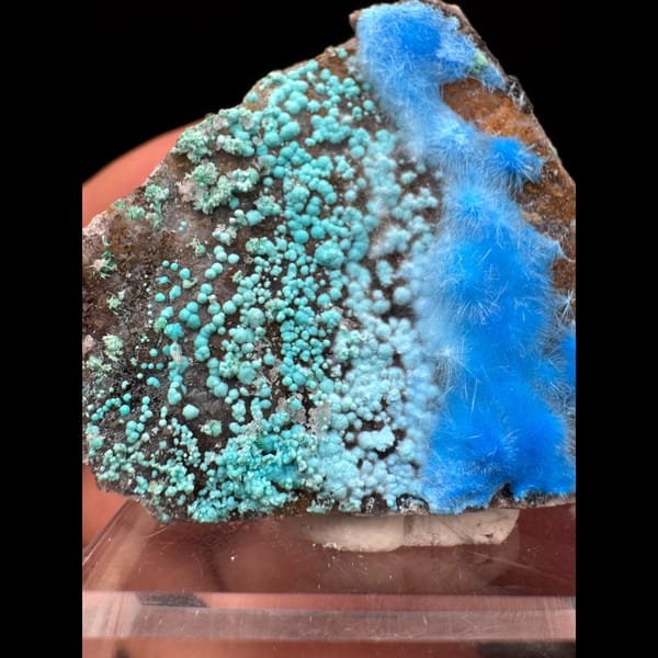 Green botryoidal malachite with sky-blue cyanotrichite from Guizhou — complete view