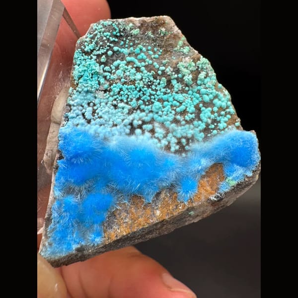 Green botryoidal malachite with sky-blue cyanotrichite from Guizhou — detail view
