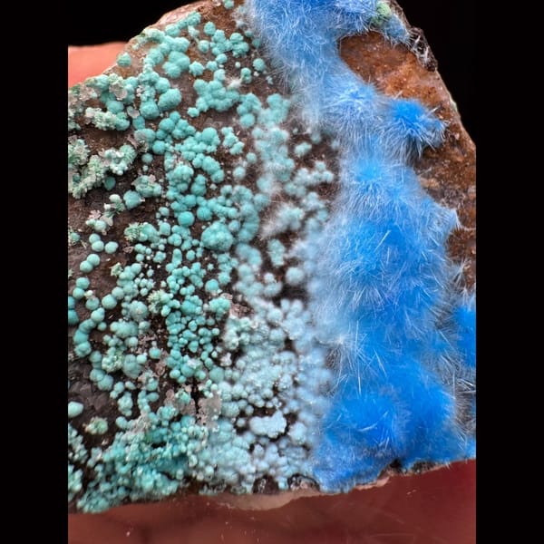 Green botryoidal malachite with sky-blue cyanotrichite from Guizhou — detail view
