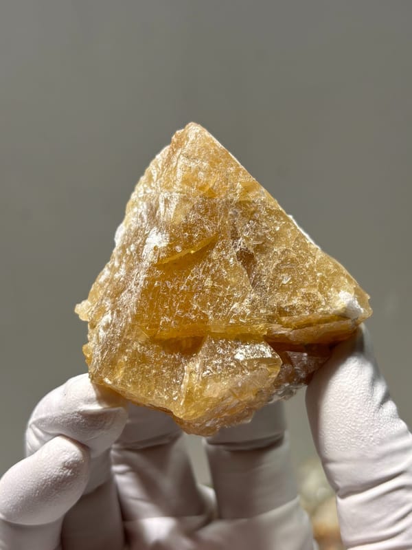 Honey-orange scheelite crystal from Xuebaoding, Sichuan, China, held in gloved hand