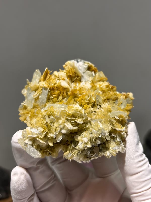 Golden mica rosettes with aquamarine and feldspar from Xuebaoding, Sichuan, China, held in gloved hand