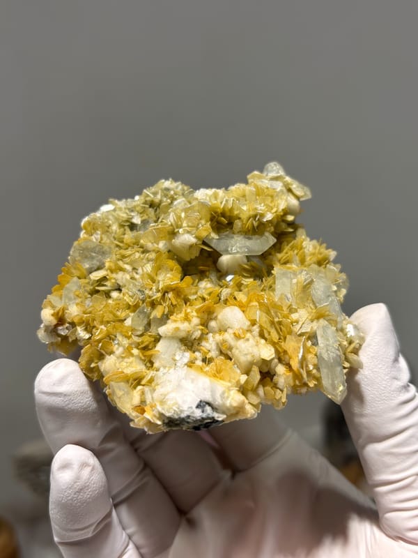Golden mica rosettes with aquamarine and feldspar from Xuebaoding, Sichuan, China, close-up of the crystal faces