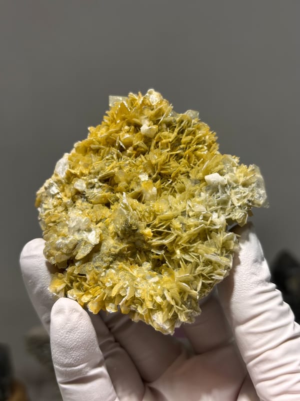 Golden mica rosettes with aquamarine and feldspar from Xuebaoding, Sichuan, China, reverse side