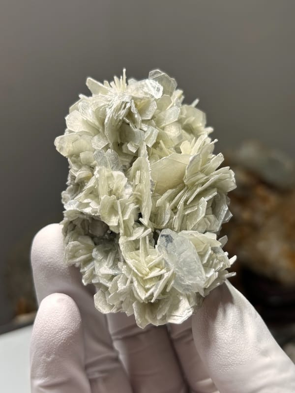 Cluster of pale mica rosettes with aquamarine from Xuebaoding, Sichuan, China, reverse side