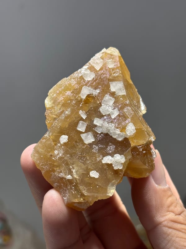 Honey scheelite dotted with white calcite crystals from Xuebaoding, Sichuan, China, held in hand