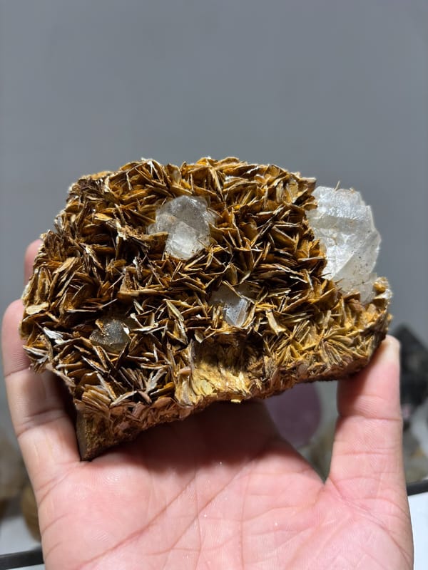 Clear fluorite cubes set in plate of golden mica blades from Xuebaoding, Sichuan, China, held in hand
