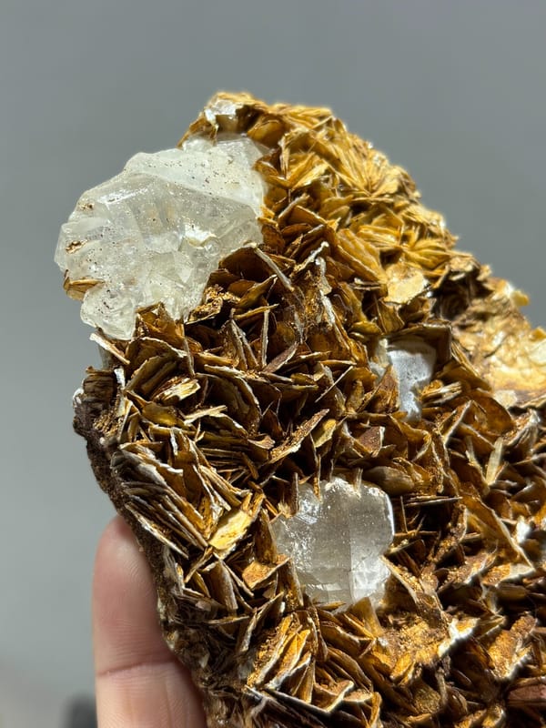 Clear fluorite cubes set in plate of golden mica blades from Xuebaoding, Sichuan, China, reverse side