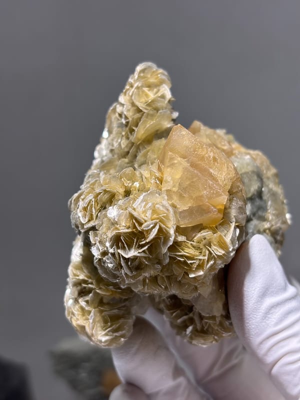 Honey scheelite in bed of golden mica rosettes from Xuebaoding, Sichuan, China, close-up of the crystal faces