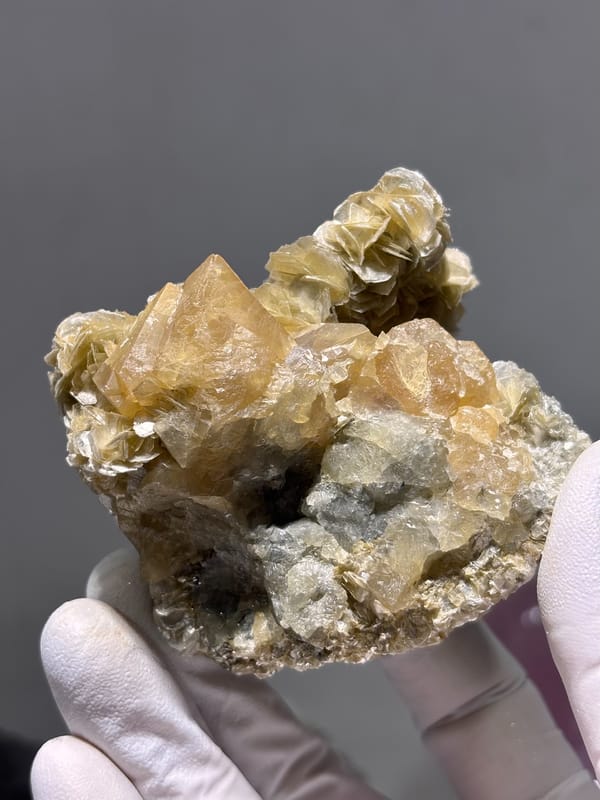 Honey scheelite in bed of golden mica rosettes from Xuebaoding, Sichuan, China, reverse side