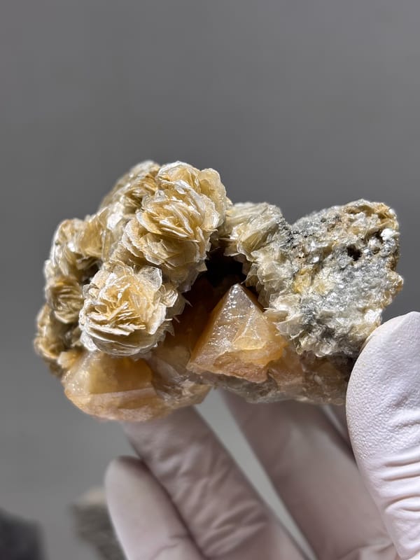 Honey scheelite in bed of golden mica rosettes from Xuebaoding, Sichuan, China, top view