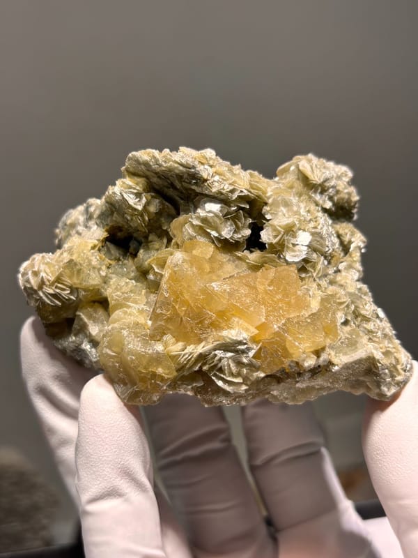Pale yellow scheelite plate with golden mica from Xuebaoding, Sichuan, China, held in gloved hand