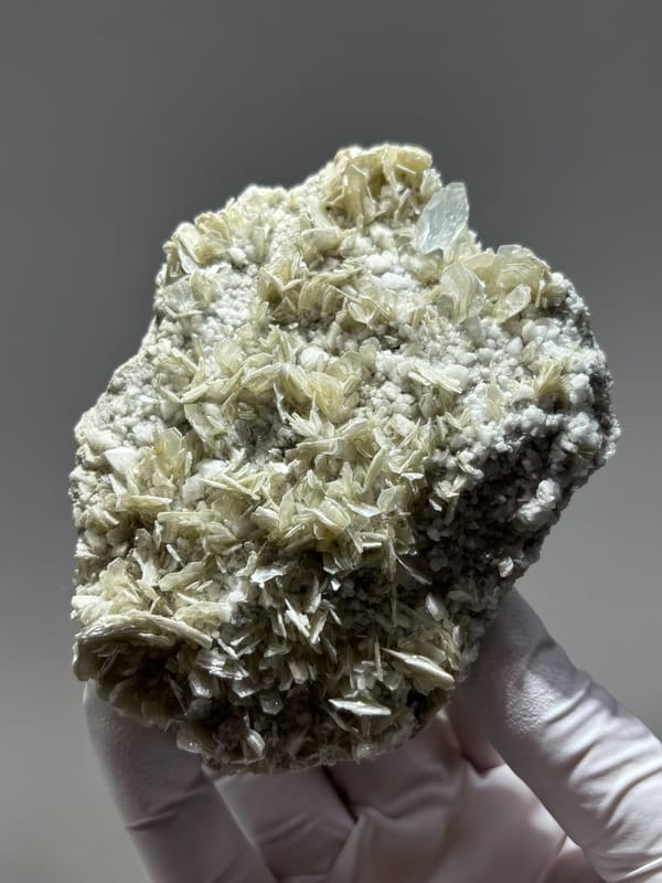 Pale mica plate with small aquamarine crystal from Xuebaoding, Sichuan, China, held in gloved hand
