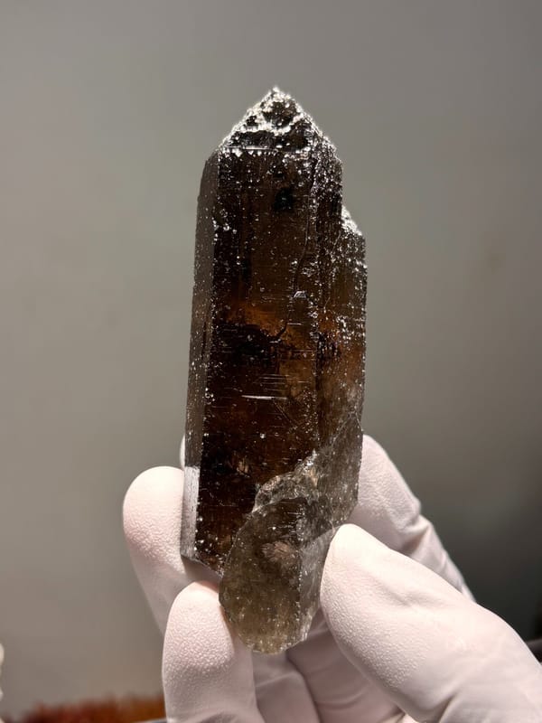 Dark smoky quartz point with complete tip from Fujian, China, held in gloved hand