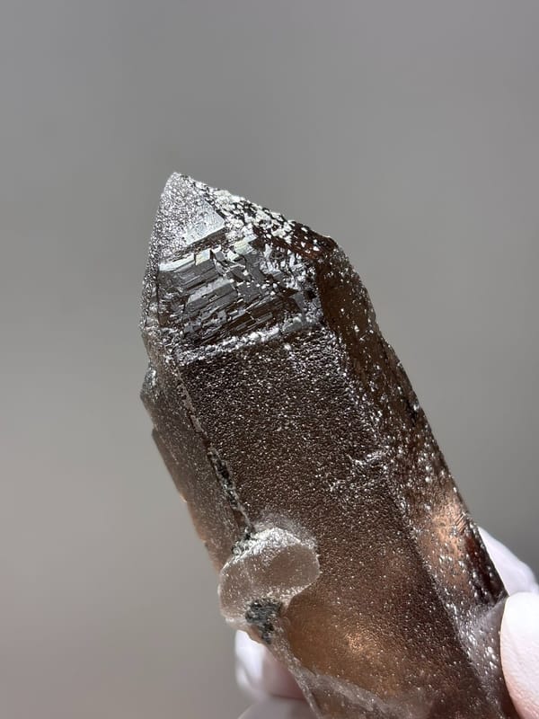 Dark smoky quartz point with complete tip from Fujian, China, top view