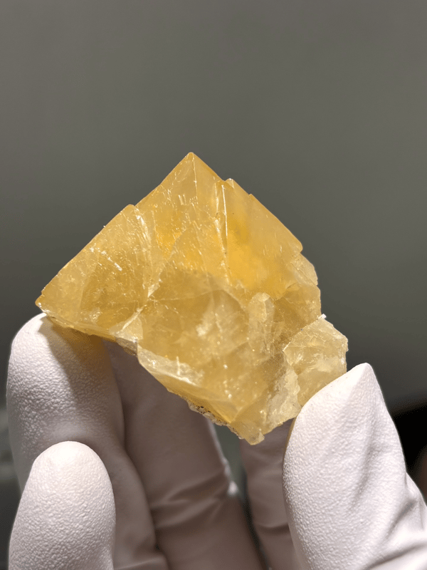 Honey-orange scheelite with complete tip from Xuebaoding, Sichuan, China, held in gloved hand